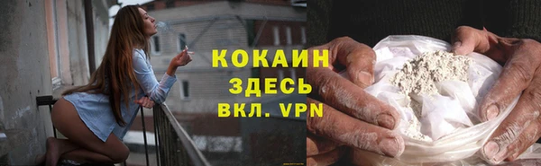 PSILOCYBIN Аркадак