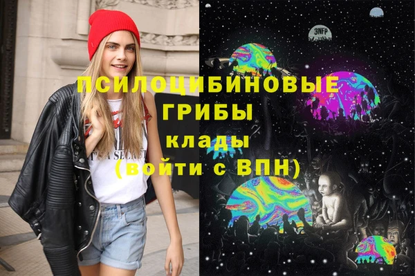 бошки Алексеевка