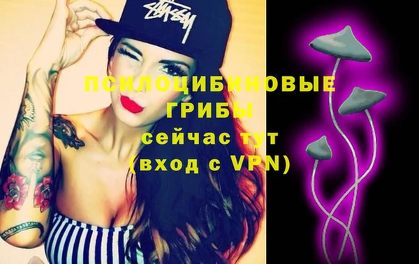 мяу мяу мука Алзамай