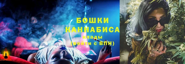 PSILOCYBIN Аркадак