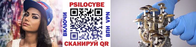 Купить где  Кизляр  Псилоцибиновые грибы Psilocybine cubensis 